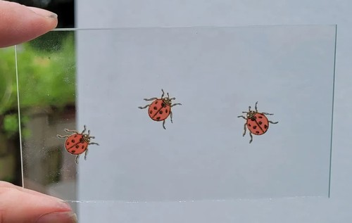 Stained glass ladybirds kiln - glass,