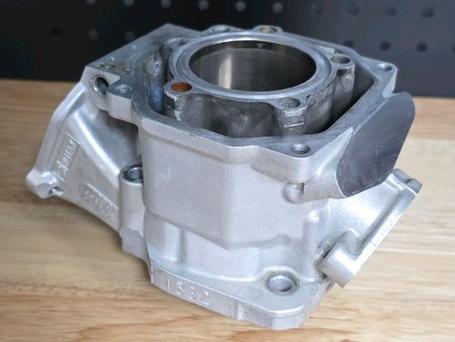 Junior rotax max evo cylinder - rotax,