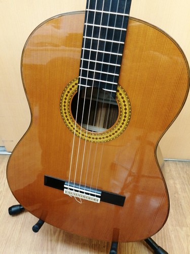 Yamaha classical guitar gc22c - classical,