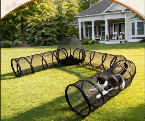 Outdoor cat enclosure - outdoor,