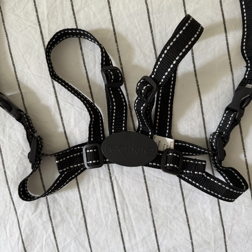 Red kite safety - kite, harness