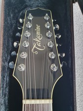 Takamine NPT-110-12 string