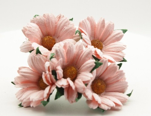 10x mulberry paper - 10x,