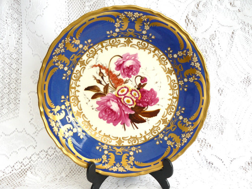 Coalport rose auricula - **, +