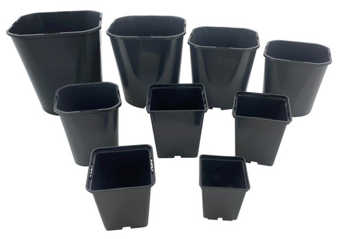 Square plant pots - plant, rigid