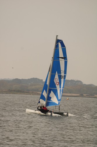 Laser dart catamaran - laser, 16