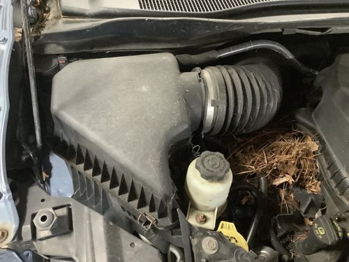 Air cleaner fits caravan - fits,