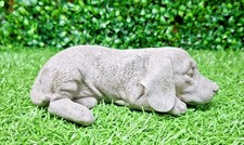 Dog 5.5cm x 18cm x 11cm  latex