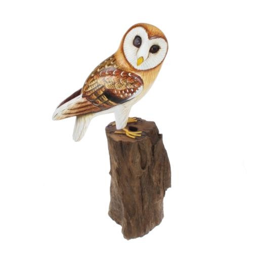 Barn owl tree trunk - trunk,, hand