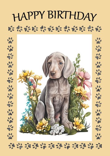 Weimaraner dog birthday card - birthday,