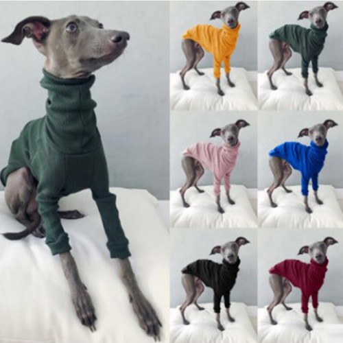 High neck pets - high,