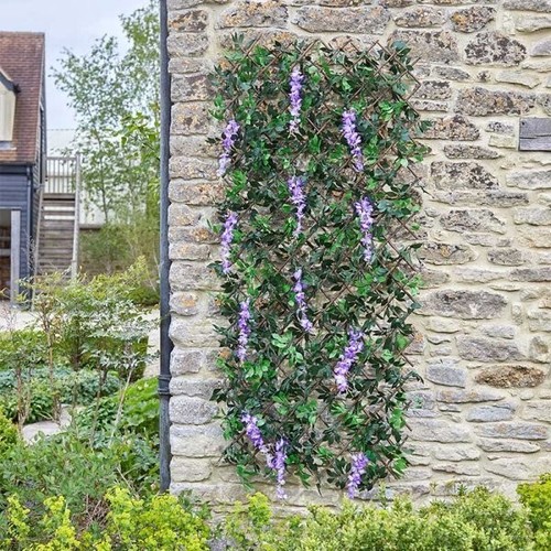 Pretty wisteria garden - pretty, trellis