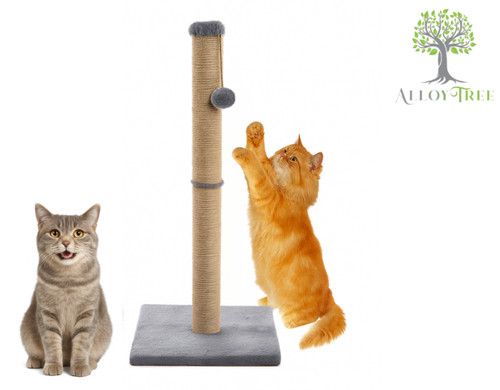 Large tall cat - tall,