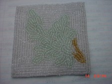 6  COASTERS  Pale Green Plant