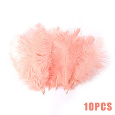 10Pcs /Pack Large Ostrich