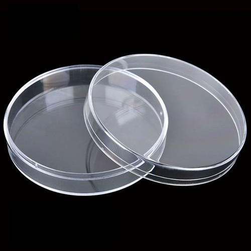 Clear coin capsules - coin, all
