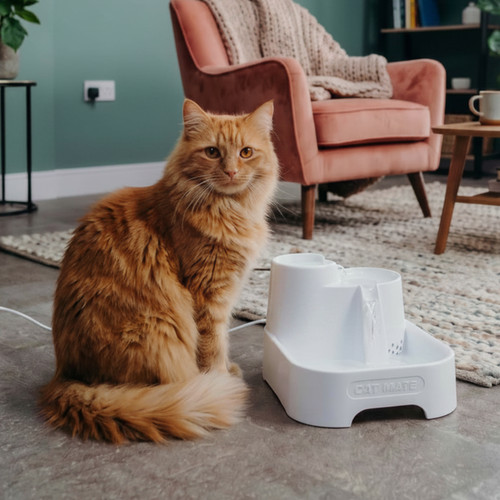 Cat mate three level - cat,