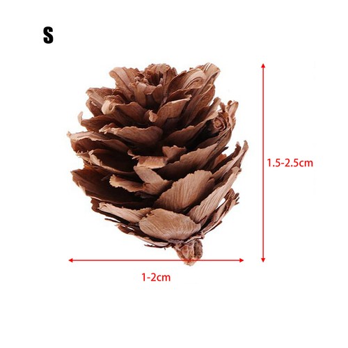 Mini christmas pine cones - pine, tiny
