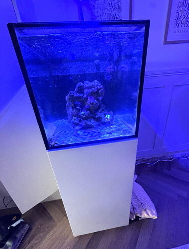 Red sea nano 75litre - red,