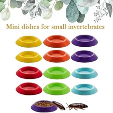 Access Feeder Dish Dubia