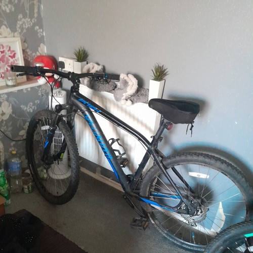 Specialized mountain bike - specialized,