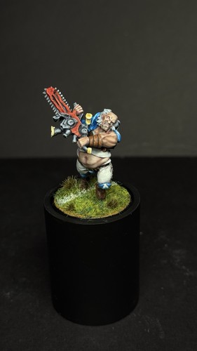 Warhammer blood bowl star - bowl,