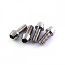 Suzuki TL1000S 97-01 Titanium