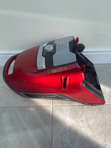 Miele cat dog powerline - miele,