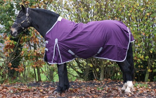 Turnout rug horse - horse,
