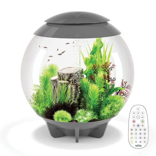 Biorb halo aquarium fish - biorb, 60