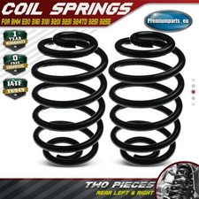 2x New Coil Springs Rear