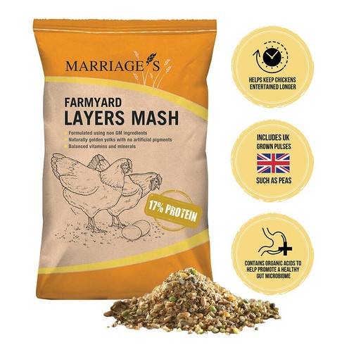 Marriage farmyard layers - farmyard,