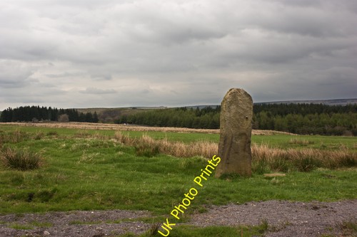 Photo solitary stone post - solitary,