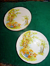 Shelley fine bone china