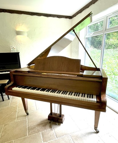 Bluthner baby grand model - , xi