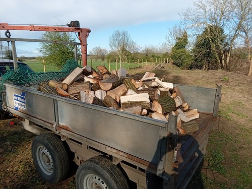 Trailer unseasoned logs - of,