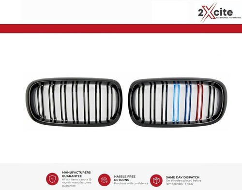 Kidney grills for bmw - kidney,