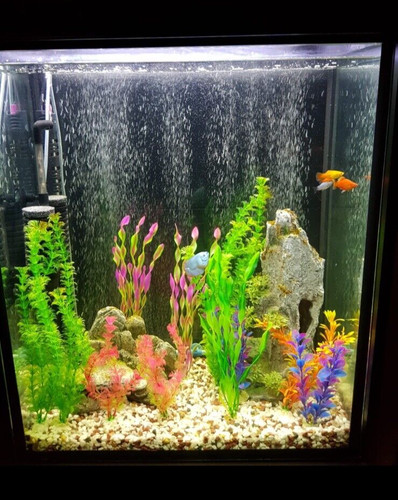 Ikea besta aquarium - ikea,