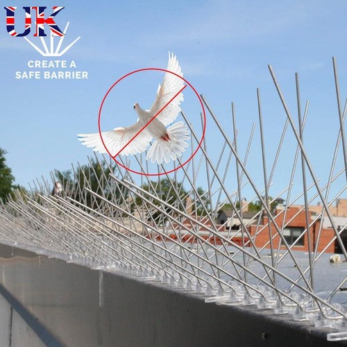 10m anti perch - 3/5/10m, pigeon