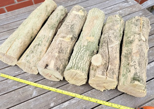 6no boxwood logs - 6no,
