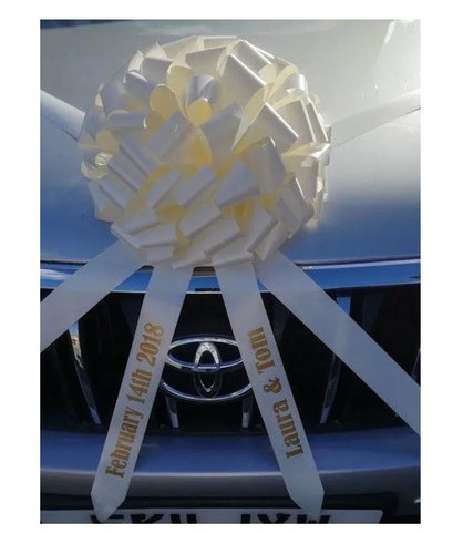 Wedding car bow - car,