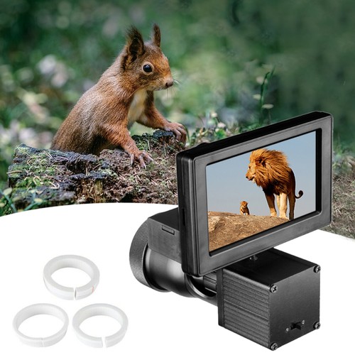 Infrared night vision - night,