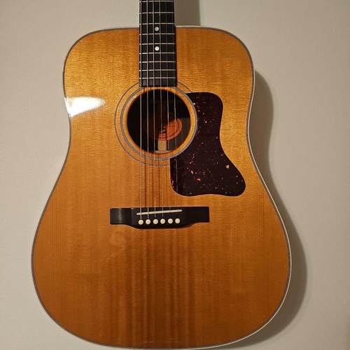 Gibson acoustic guitar - gibson,