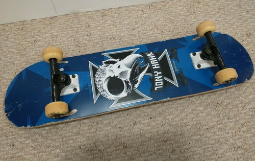 2010 tony hawk birdhouse - tony,