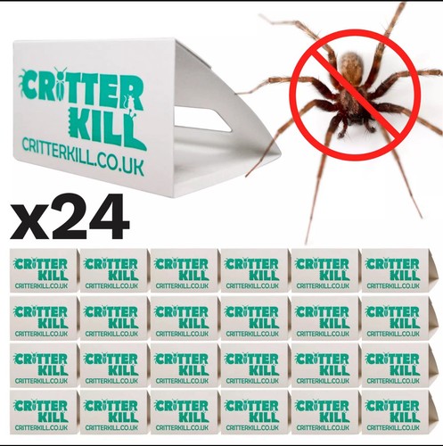Spider killer traps - spider,