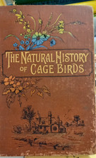 The Natural History of Cage