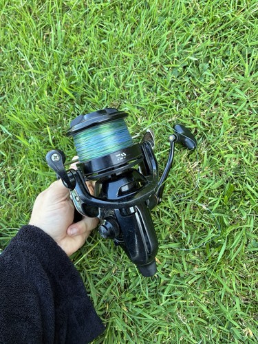 Daiwa emblem 25a carp - br,