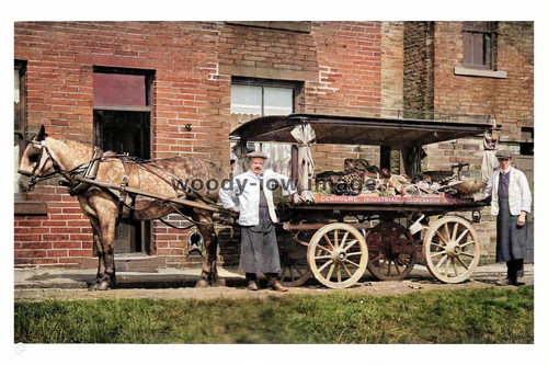 Ptc2077 yorks the - ptc2077,