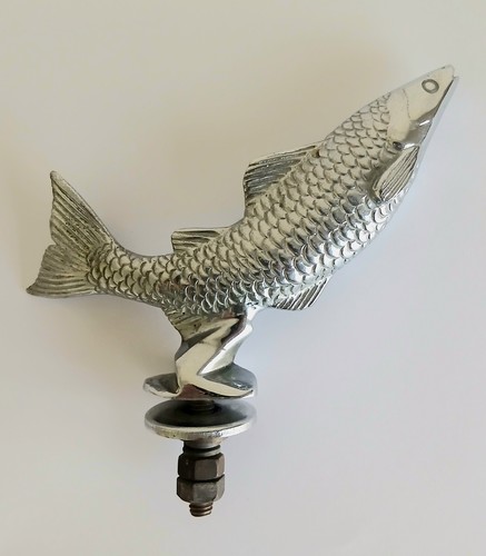 Desmo leaping salmon car - leaping,