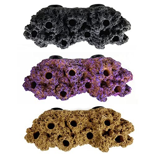 Magnetic reef coral - magnetic, frag